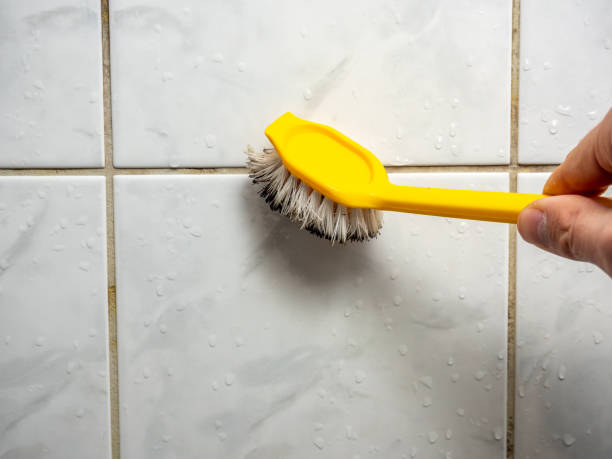 Best Best Mold Removal Companies  in Columbia, PA