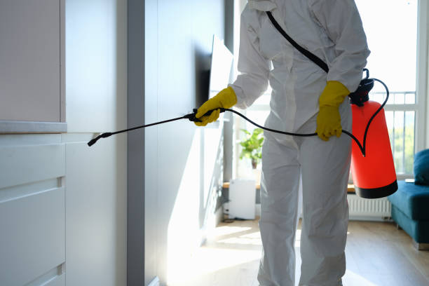 Best Office Mold Removal Services  in Columbia, PA